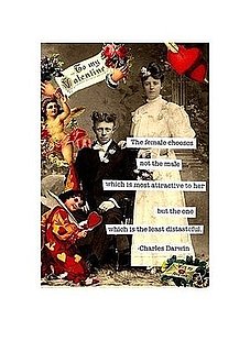The Card Shop: Cheeky Valentine's Day Cards