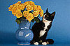 How-To: Protect Your Plants from Your Pets