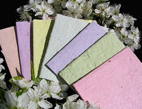 Etsy Find: Plantable Card Set