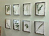 DIY: Botanical Prints