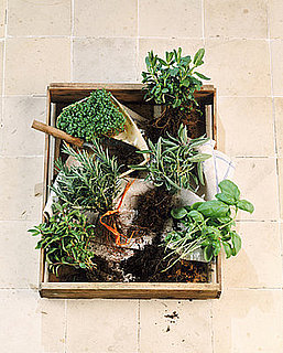 Ways To Make Your Kitchen Greener
