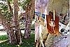 Casa Quickie: Displaying Treasured Photos at Your Reception