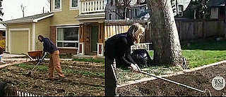 In the News: Farms Sprout in Suburbia