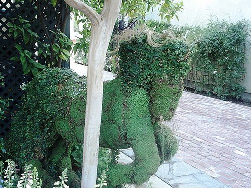 Midday Muse:  An Equine Topiary