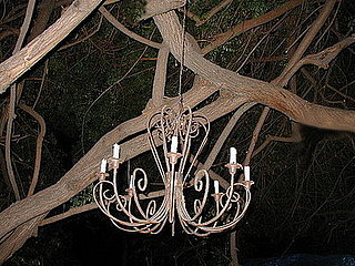 Midday Muse:  Light in the Garden