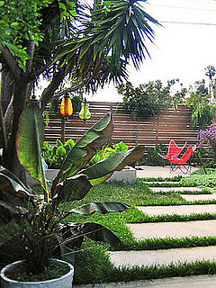 Midday Muse: Backyard Paradise