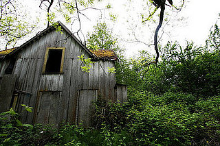 Midday Muse: Fallow Farmhouse