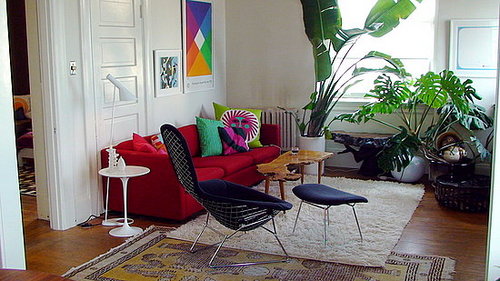 Midday Muse: Bright Hues, Big Plants