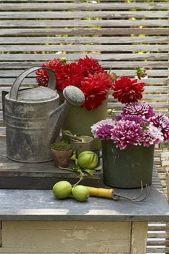 Midday Muse:  Romantic Work Areas 
