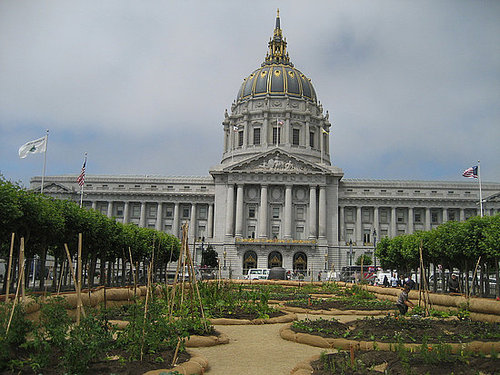 Cool Idea: San Francisco's Urban Farm