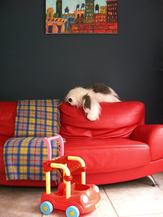 image image
