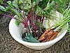 Show Me Your Summer Garden and Su Casa!