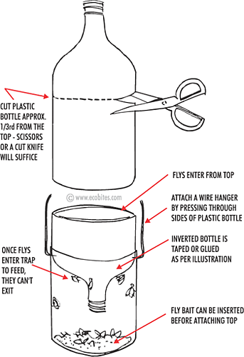 DIY: Organic Fly Trap