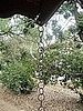 Casa Quickie: A Softening Rain Chain