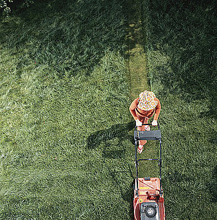 Casa Quickie: Lawnmower Cleanup