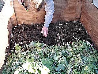 Primer: Vermicomposting