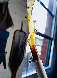 Do You Use Fly Tape?