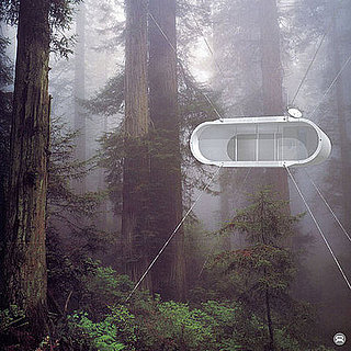 Would You Live in This House?