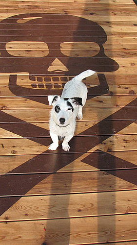 DIY: Ahoy Mateys!
