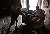 Were You Affected by Hurricane Ike?