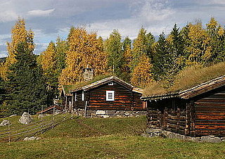 Midday Muse: Favorite Parts of Autumn