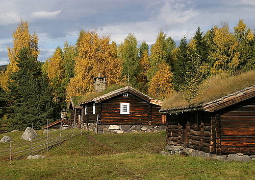 Midday Muse: Favorite Parts of Autumn