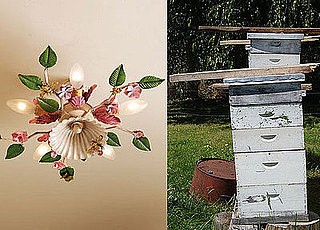 Roundup: Busy Bees