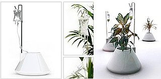 Cool Idea: I.V. Self-Watering Plant Pot