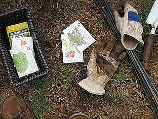 Garden Therapy:  Planting Winter Gardens