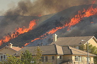 Have You Ever Been in a Wildfire?