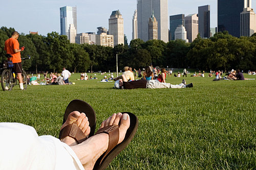 Guess Who Wants to Live in Central Park?