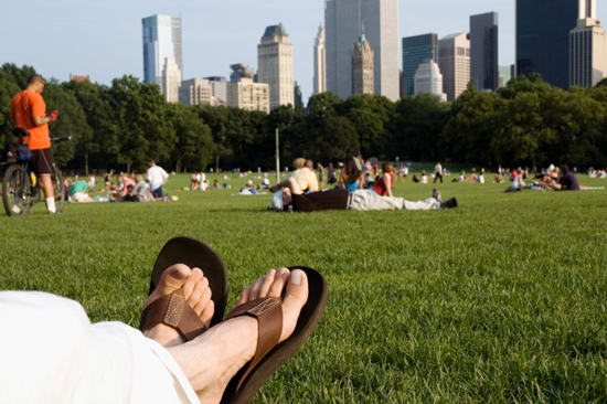 Guess Who Wants to Live in Central Park? Guess Who Wants to Live in Central Park?