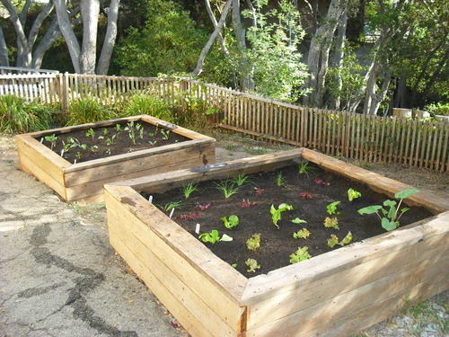 Garden Therapy:  New Garden Boxes From Old Wood