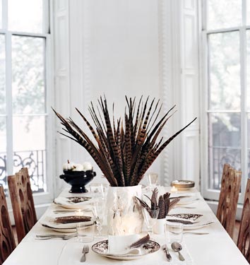Midday Muse: Fantastic Pheasant Feathers