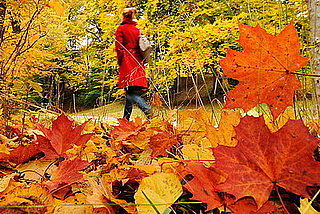Do You Spend Time Outdoors at Thanksgiving?