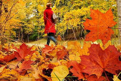 Do You Spend Time Outdoors at Thanksgiving?