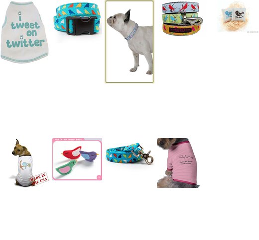 Trend Setters: Show Off Your Pets' Sweet, Tweet Love!