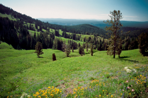 8 Things to Look Forward to This Spring 8 Things to Look Forward to This Spring