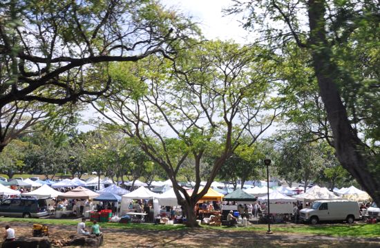 Vendors Tents Vendors Tents