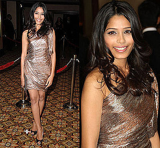 Freida Pinto in Zac Posen Metallic Dress at 61st Annual Directors Guild Awards