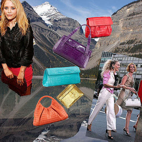 FabSugar Interviews Handbag Designer Nancy Gonzalez