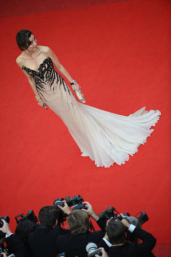 The Best of Cannes — Daytrippers The Best of Cannes — Daytrippers