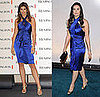 Cindy Crawford and Demi Moore Wear Blue Zac Posen Dress