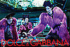 Dolce & Gabbana Fall '09 Ad