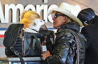 Sugar Shout Out: Mickey Rourke's Got a New Traveling Mate!
