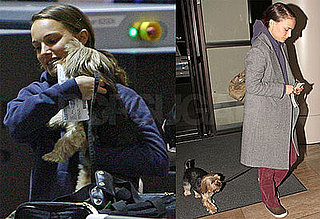 Photos of Natalie Portman at LAX With Dog Charlie