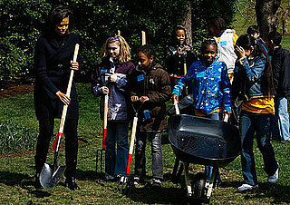 Sugar Shout Out: Make Your Own Victory Garden!