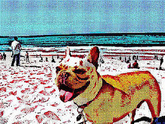 Add Cool Effects to Your Photos With BeFunky