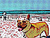 Add Cool Effects to Your Photos With BeFunky