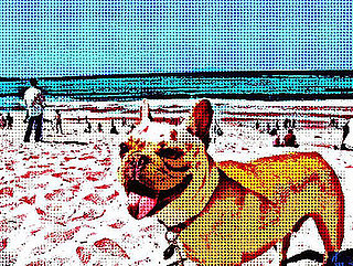 Add Cool Effects to Your Photos With BeFunky